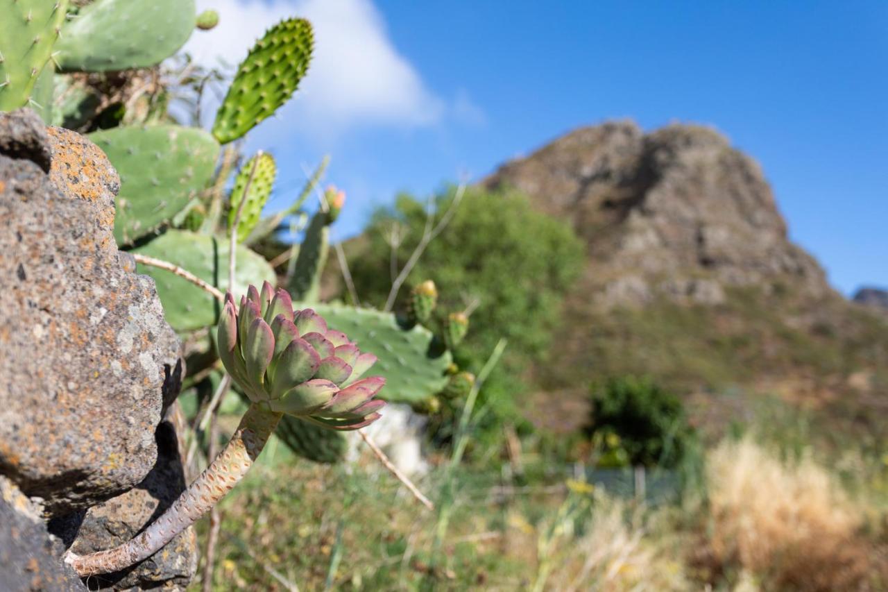 Home2Book Nature Carrizales And Masca House & Wifi Buenavista Del Norte Exterior photo